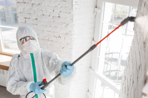 Best Biohazard Mold Removal  in Norwood, OH