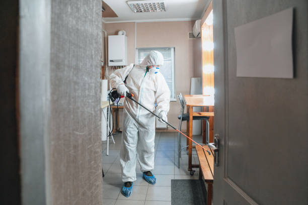 Best Basement Mold Removal  in Norwood, OH