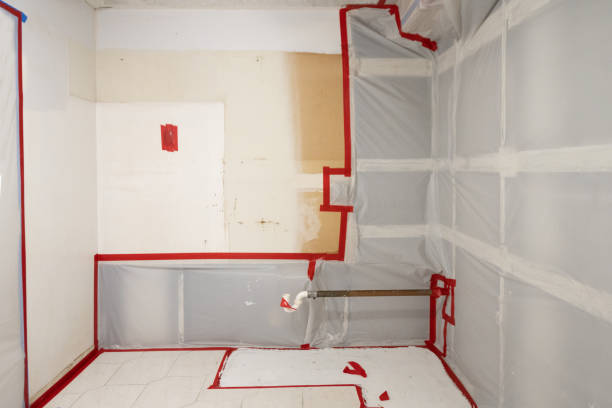 Best Mold Prevention Services  in Norwood, OH